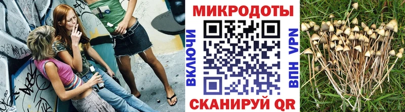 mega как войти  Янаул  Псилоцибиновые грибы мицелий 